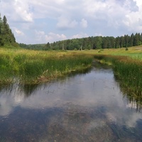 Река Соть, переправа к Белебино