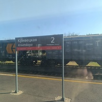 Станция Кривецкая в Бочаровке.