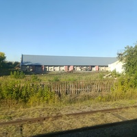 Деревня Бочаровка.