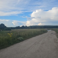 Дорога на мостик