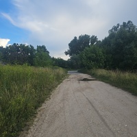 Дорога от мостика