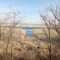 Ул. Береговая р. Хопёр
