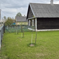 Д.Хоневичи ул.Новики