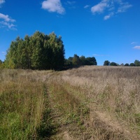 Дорога в Богородское