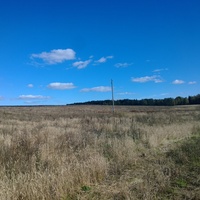 Поле у д.Богородское