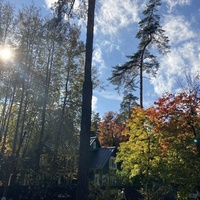 В дачном посëлке Переделкино