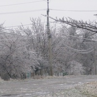 Зима 2008