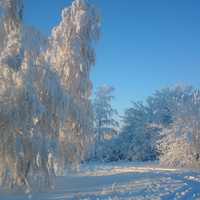 зима в с.дубравный