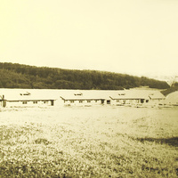 новая ферма для скота в д.Шишкино в 1957 году