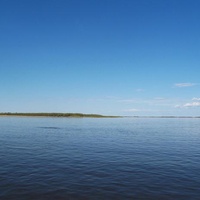 Западная Сибирь. Югра. Река Обь. Нижние Нарыкары.