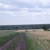 дорога в Вышне-Столбецкое