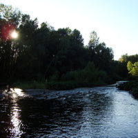 Усть-Таловка р.Локтевка