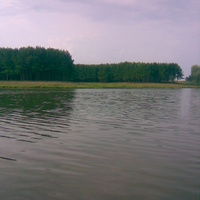 озеро д.Талмачовка