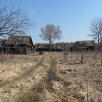 останки бывшего жилья в д.Гудово, весна 2010 года