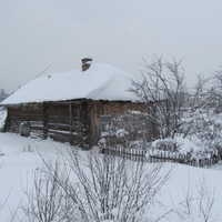 последняя изба в д.Гасниково, снимок 2010 года