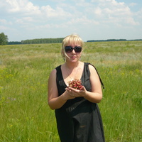 поля между Михайловкой и Буденым,июль 2011