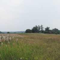 д.Евсевьево, вид с севера, лето 2011 года.