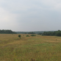 д.Евсевьево, поля направо, лето 2011 года.
