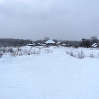 д.Распутьево, вид с дороги с.Покров - д.Шишкино, зима 2010 года.