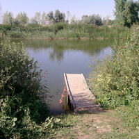 Мостик на 2 заливе Пустобаевского пруда