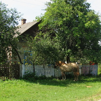 Дом по ул. Комарова