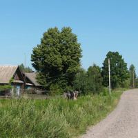 Улица Школьная, вид со стороны фермы