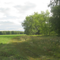 Орловский лес август 2011 года
