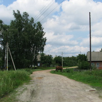 Улица Комсомольская ( в народе Товстица)