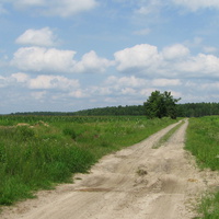 Дорога в сторону урочища Семенчи ( снято с улицы Комсомольской)
