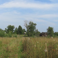 д.Новоселки со стороны д.Тяпино, лето 2011 года.