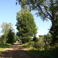 Ярково . Август 2011