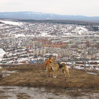 Южный Урал. Город Аша. Апрель 2011 года. Вид с Казарменного хребта.