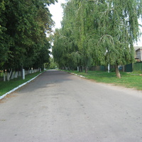 Вулиця села Прачі