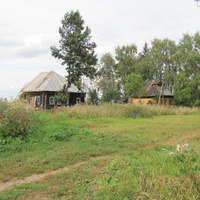 д.Ченцы, лето 2011 года, посреди деревни.