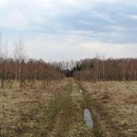 д.Федоровское, весна 2011 г., сельхозугодия превращены в угодья охотничьи.