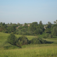 деревня Светлицы летом