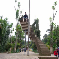 Addis Abeba University