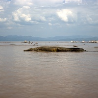 Arba Minch Abaya Lake