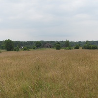 д.Красниково, лето 2011 года, вид на деревню со стороны урочища Чуково.