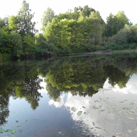 Липаново озеро август 2011г