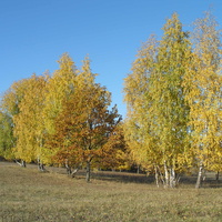 Краски осени.