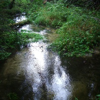 река в болотах