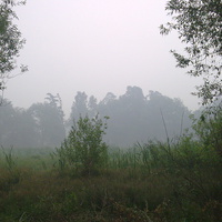 "Графский пруд"-дымное лето 2010
