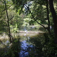 Речка Злодейка ниже плотины в Минаево