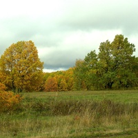 Осень в Алтаеве