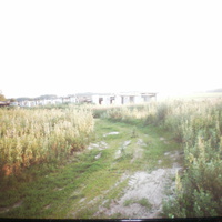 разрушенная ферма в деревне Малые Горки