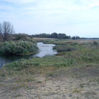 река битюг