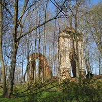 Развалины замка Тышкевичей