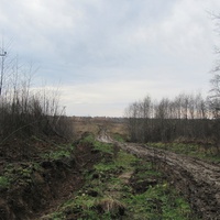 д.Курилово, осень 2011 года, дорога в деревню пока такая.