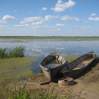На озере. 2008 г.